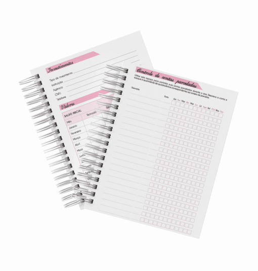 Planner Financeiro - Imagem 2