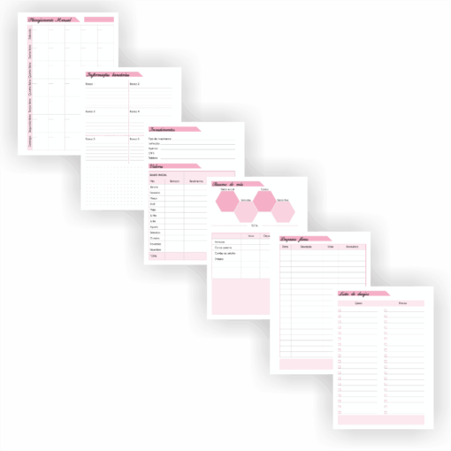 Planner Financeiro - Imagem 5