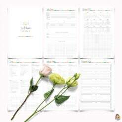 Alternative view of Planner Diretora de Escola