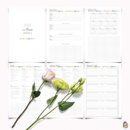 Planner Diretora de Escola - Imagem 2