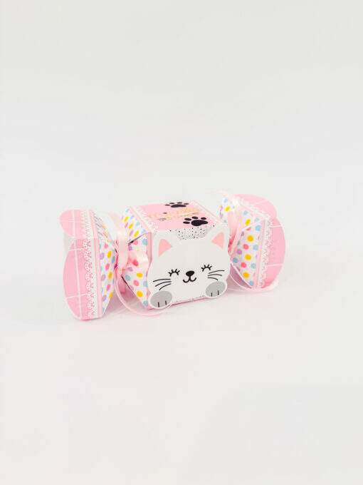 Caixa Sushi Gatinhos