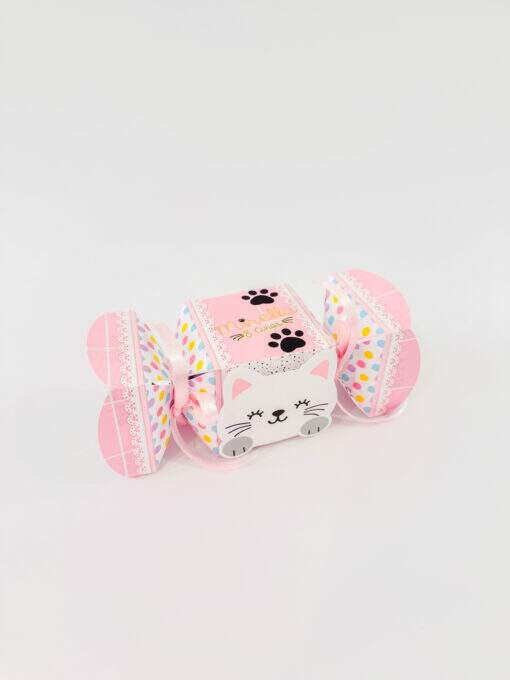 Caixa Sushi Gatinhos - Imagem 3