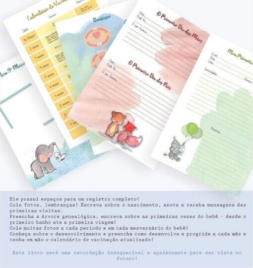 Livro do Bebê Menino - Imagem 2