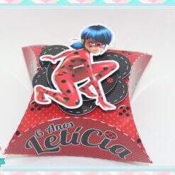 Caixa Travesseiro   Ladybug