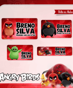Kit Etiquetas Escolares Angry Birds
