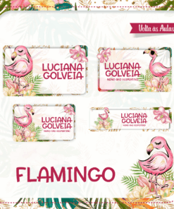 Kit Etiquetas Escolares Flamingo