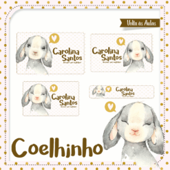 Kit Etiquetas Escolares Coelinho