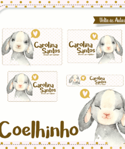 Kit Etiquetas Escolares Coelinho