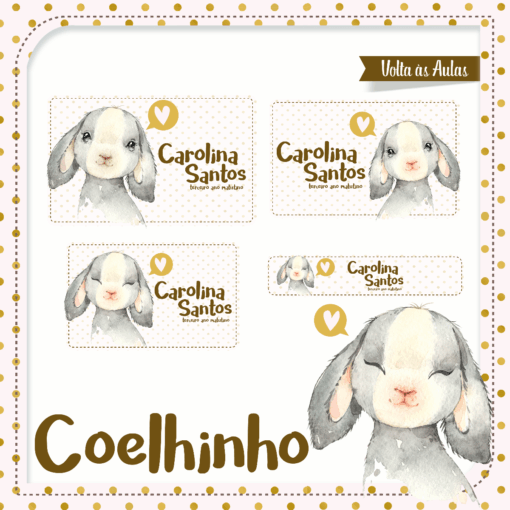 Kit Etiquetas Escolares Coelinho