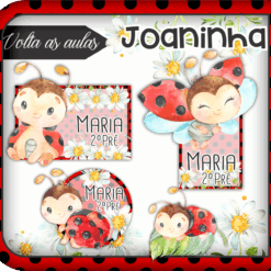 Kit Etiquetas Escolares Joaninha
