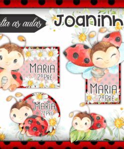 Kit Etiquetas Escolares Joaninha