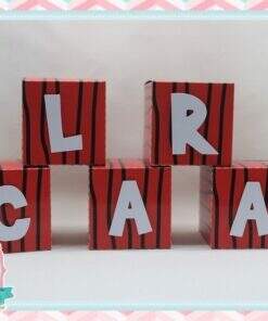 Nome no Cubo Snoopy