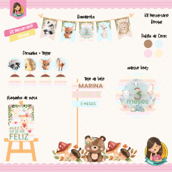 Kit Mesversário Circo